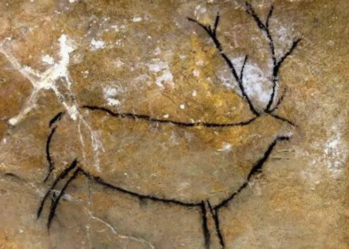 Casa De Chelo Y Eladio * Iruz